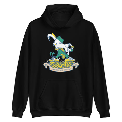 Fightin' ZiLLY Hoodie