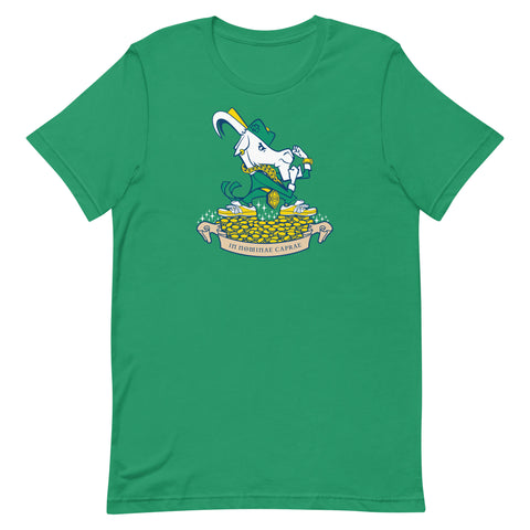 Fightin' ZiLLY T-Shirt
