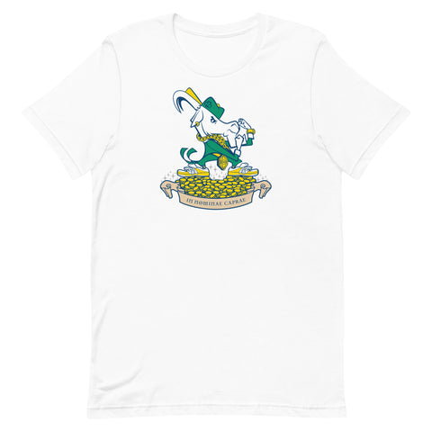 Fightin' ZiLLY T-Shirt
