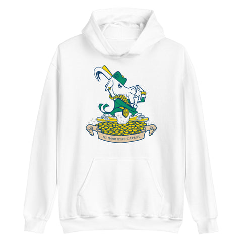 Fightin' ZiLLY Hoodie
